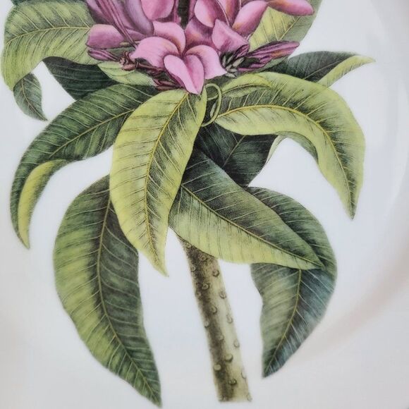 Rare Andrea by Sadek Plumeria Dinner Plate Williamsburg Catesby Collection VTG - Picture 4 of 14